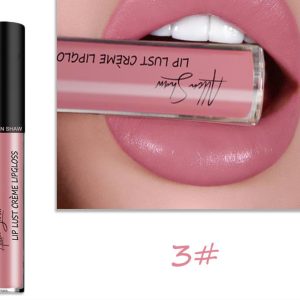 Silky Cream Texture Lip Gloss Aliexpress Shopee Cross-Border Exclusive Lip Glaze Lip Gloss Lipstick - Image 3